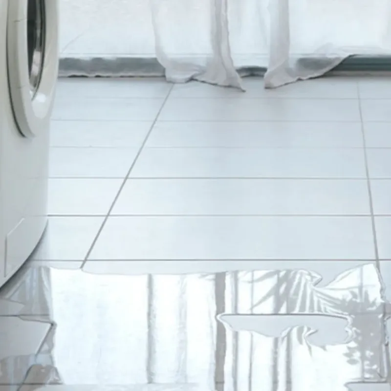 Appliance Leak Cleanup in Welch, WV