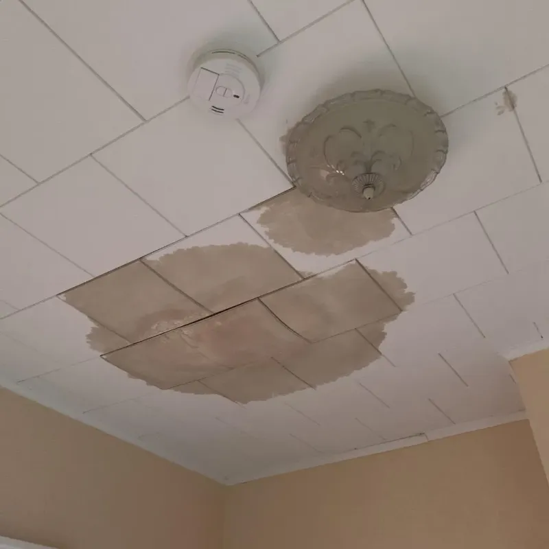 Ceiling Water Damage Repair in Welch, WV
