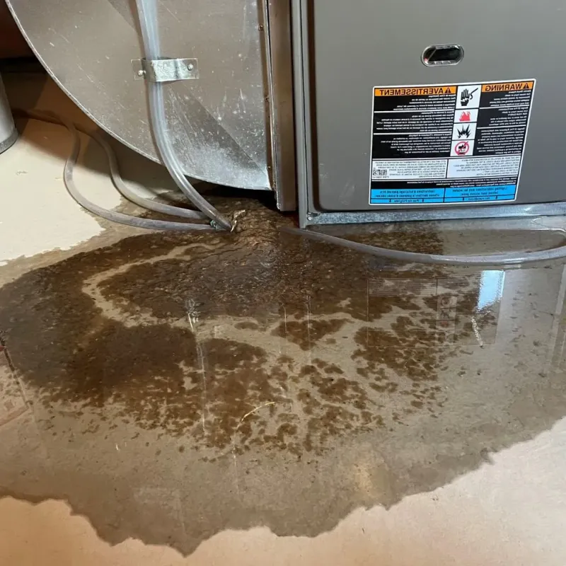 Pipe Burst and Leak Restoration in Welch, WV