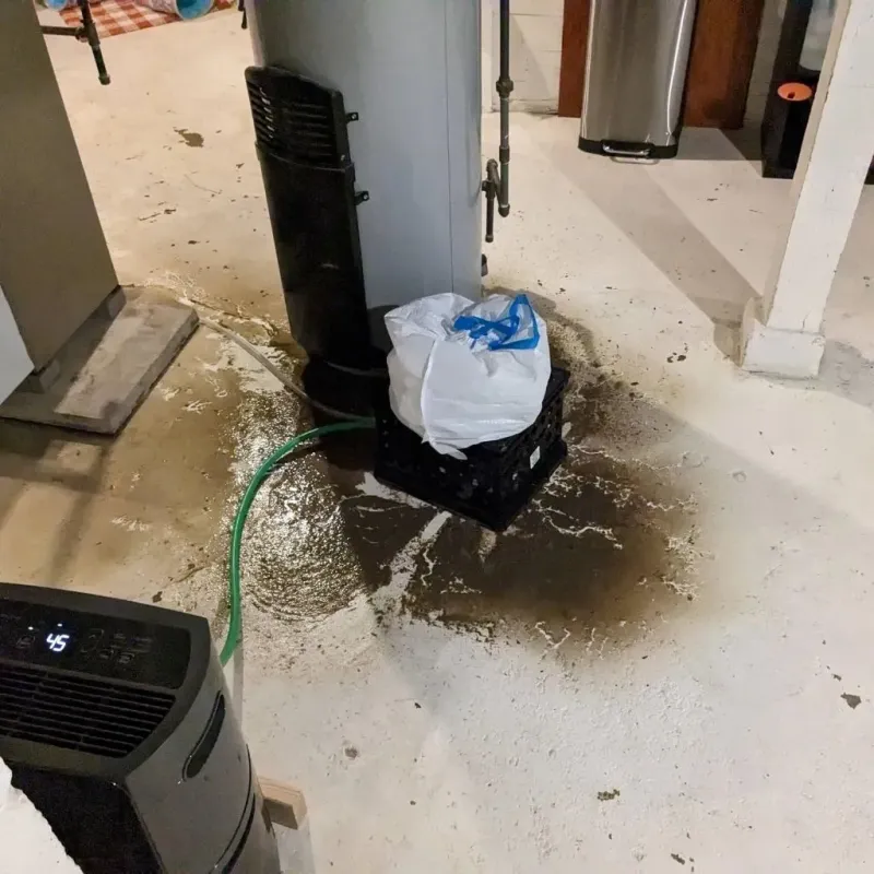 Sewage Backup Cleanup Service in Welch, WV